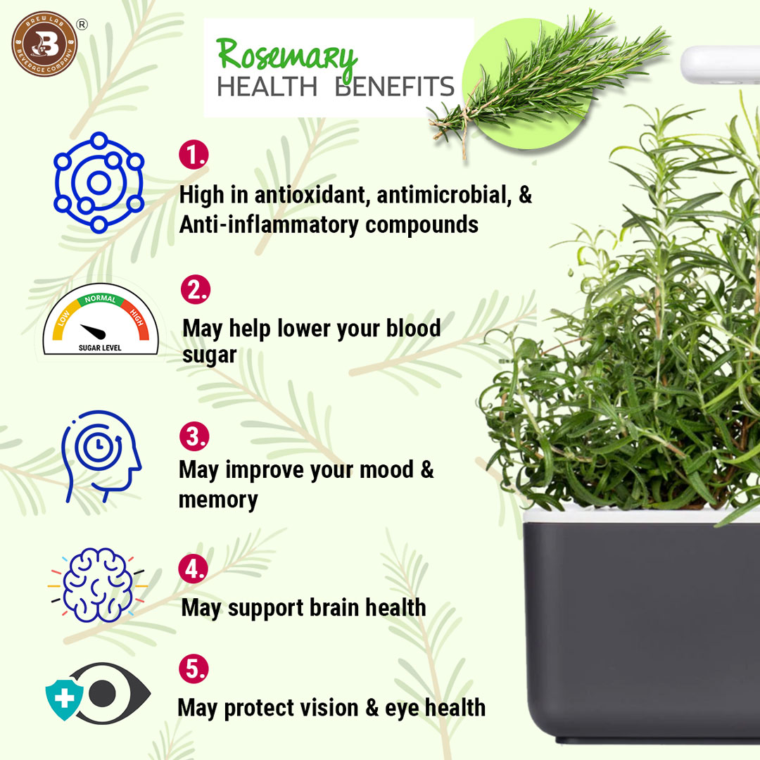 Brew Lab Dried Rosemary (Rujamari) Leaf 100 g | Rich In Antioxidants' & Anti-Inflammatory | Boost Immune & Improves Blood Circulation | For Food,Skin Glow,Hair | 100% Natural & Organically Grown-100 gm