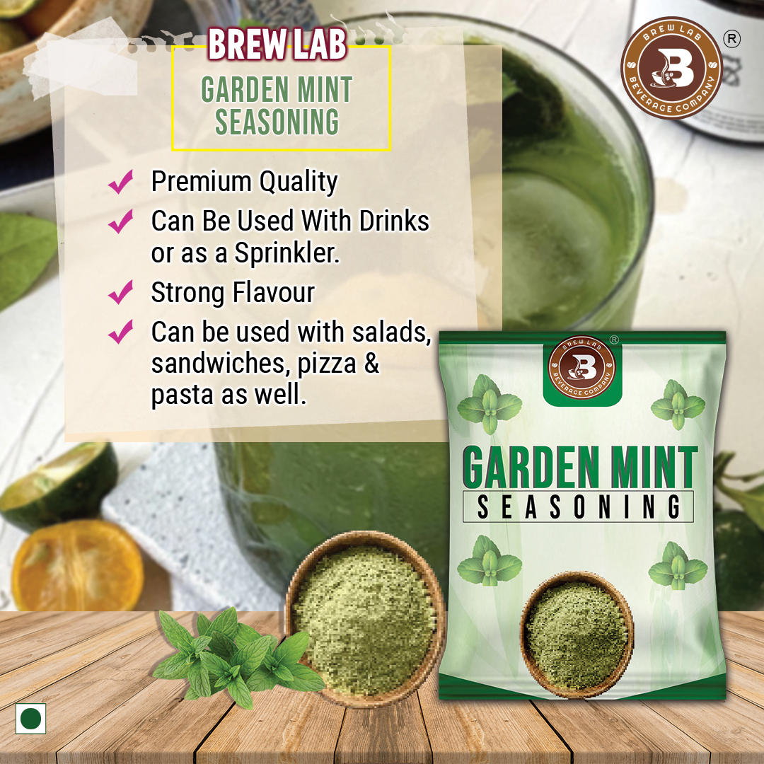 Brew Lab Garden Mint Seasoning | Use for Grilling, Cooking - Dry Marinade, Salad (100 g)