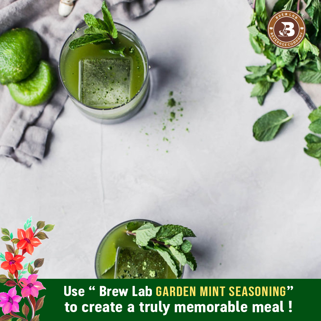 Brew Lab Garden Mint Seasoning | Use for Grilling, Cooking - Dry Marinade, Salad (100 g)
