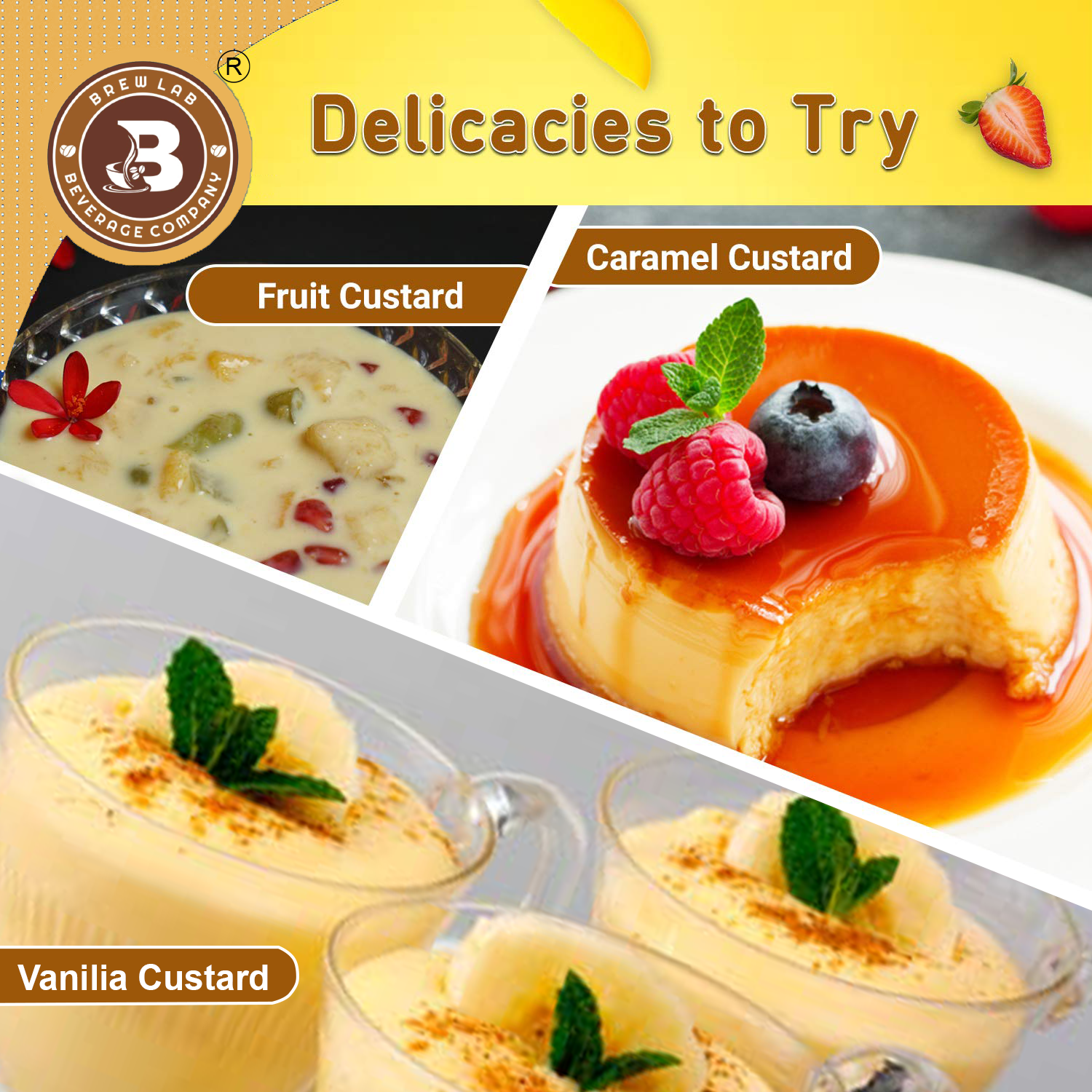 Brew Lab Vanilla Flavor Custard Powder | For Fruit Salad, Pudding, Milkshake & Desserts - 100 g